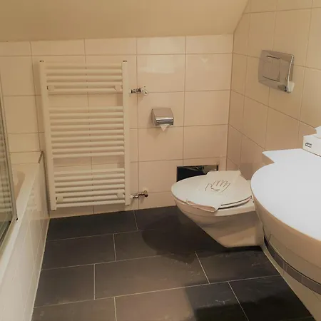 Brutsches Rebstock Hotel 3*