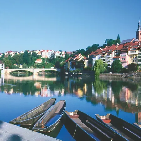 호텔 Brutsches Rebstock 3*