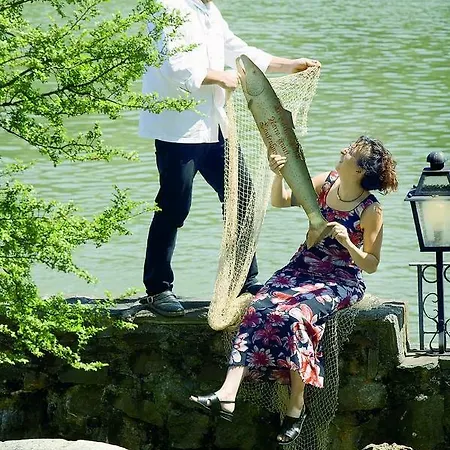 Brutsches Rebstock 3*